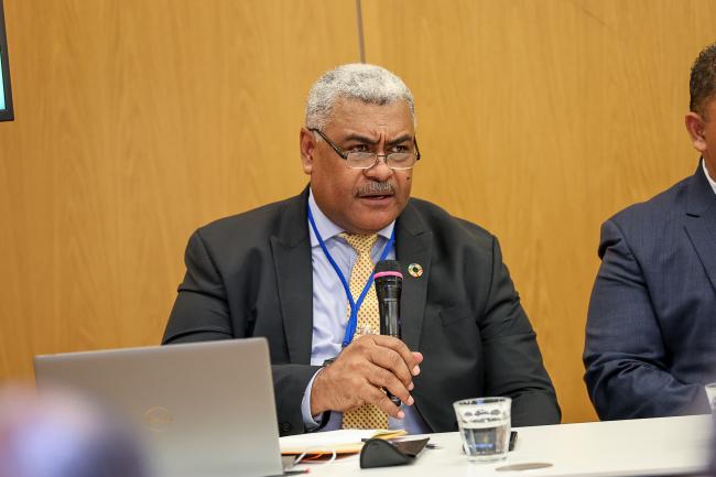 Sainivalati S. Navoti, Chief, SIDS Unit, UN DESA