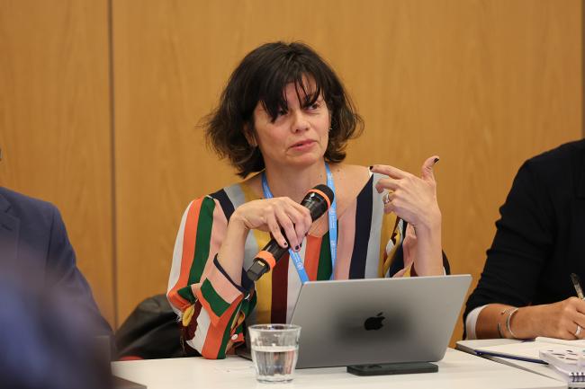 Janine Coye Felson, Deputy Permanent Representative, Permanent Mission of Belize to the UN