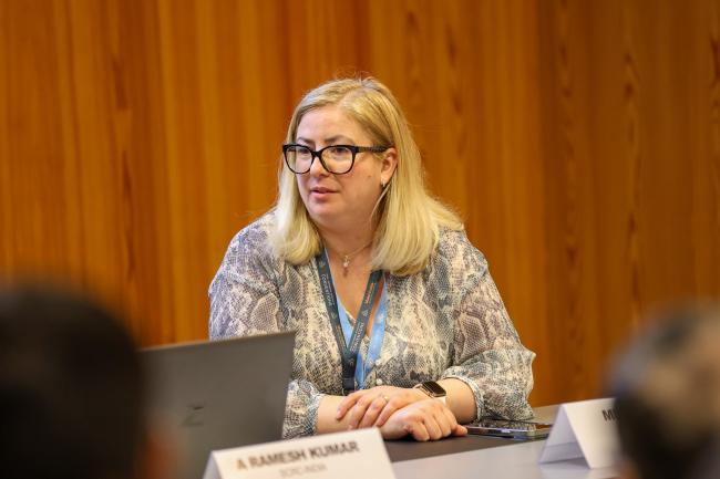 Mihaela Claudia Paun, UNEP