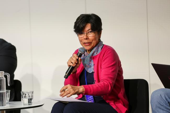 Mercedes Bustamante, Professor, University of Brasilia