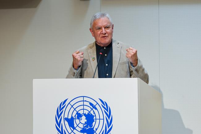 Ralph Wahnschafft, UN DESA