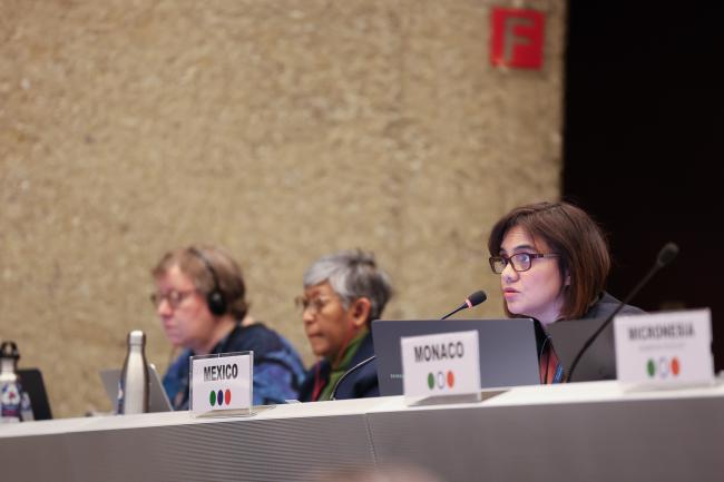 Miriam Medel García, Mexico