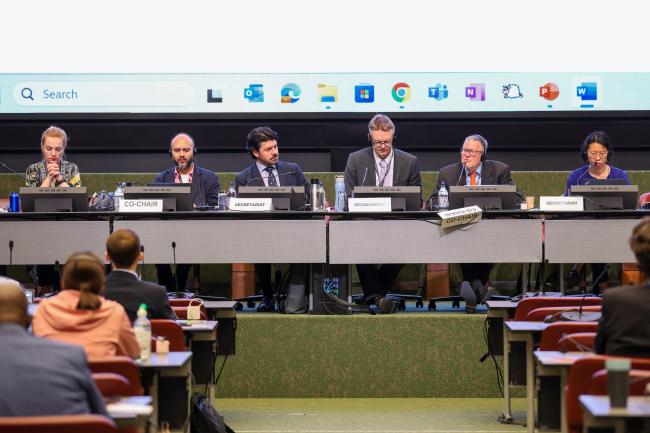 View of the dais during a Contact Group on Basel Convention technical guidelines