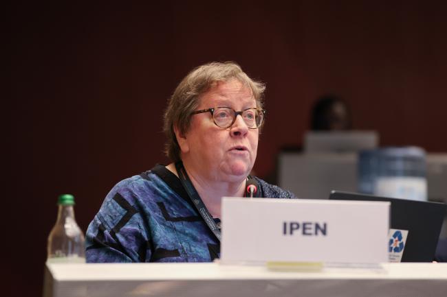 Pamela Miller, International Pollutants Elimination Network (IPEN)
