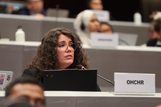 Ana Paula De Souza, Office of the UN High Commissioner for Human Rights