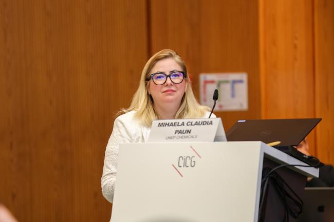 Mihaela Claudia Paun, UNEP