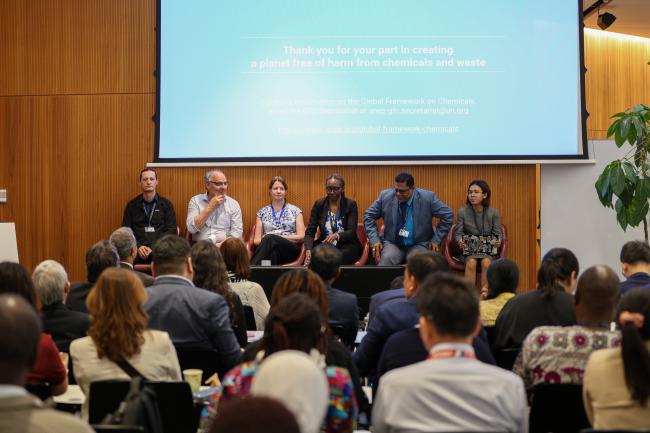 From L-R: Peter Fantke, Goethe University Frankfurt; Harald Schönberger, Expert; Sara Brosche, IPEN; Caroline Theka, Malawi; Suresh Amichand, Guyana; and Daneth Phann, Cambodia