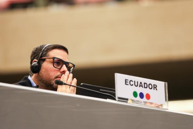 Plenary