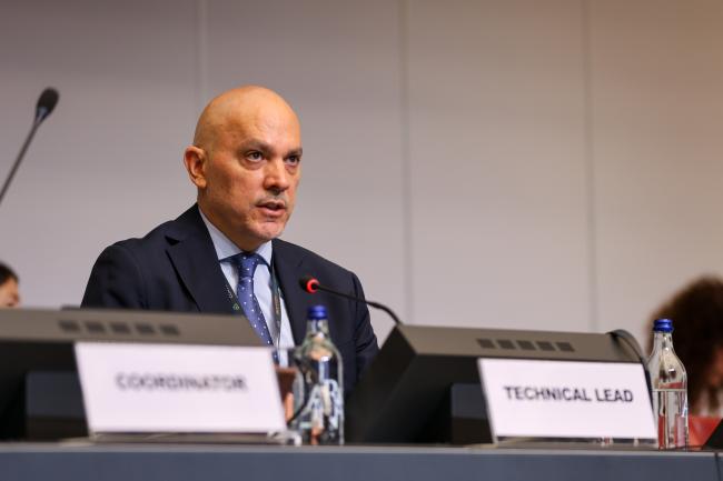 Mario Yarto-Ramírez, BRS Conventions Secretariat