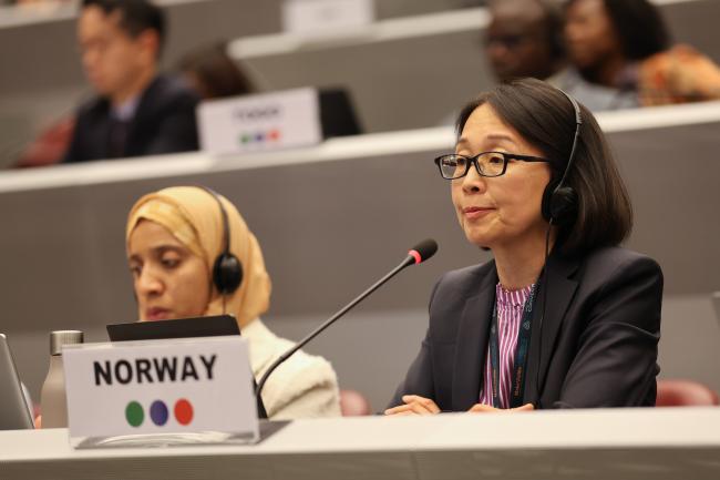 Mitsuko Komada, Norway