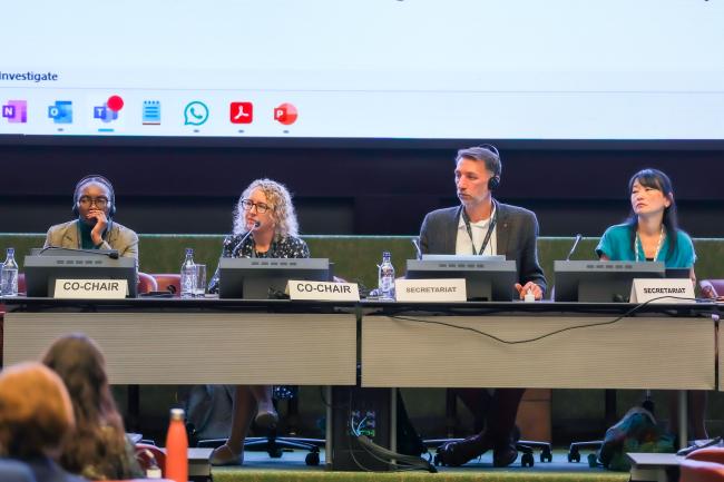 View of the dais during a Contact Group on the Rotterdam Convention listing of chemicals 