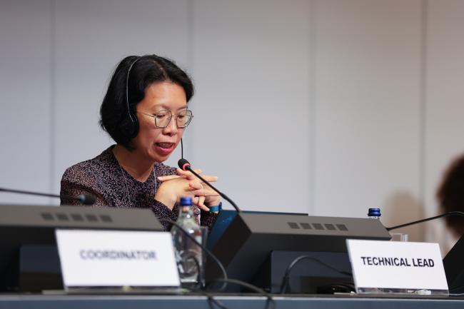 Melisa Lim, BRS Conventions Secretariat