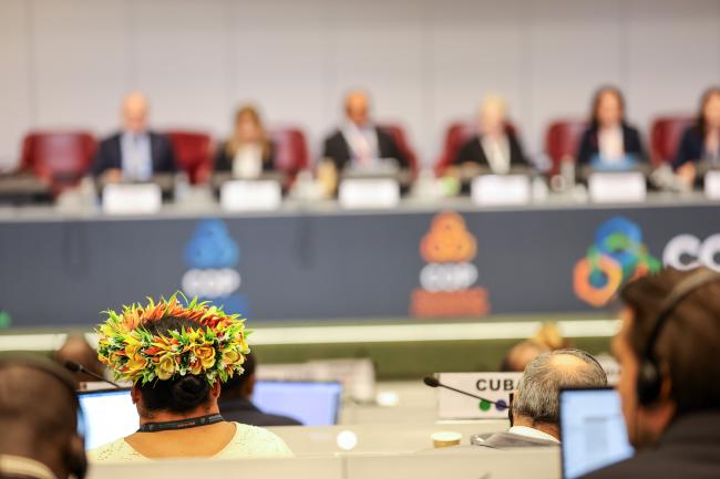Plenary