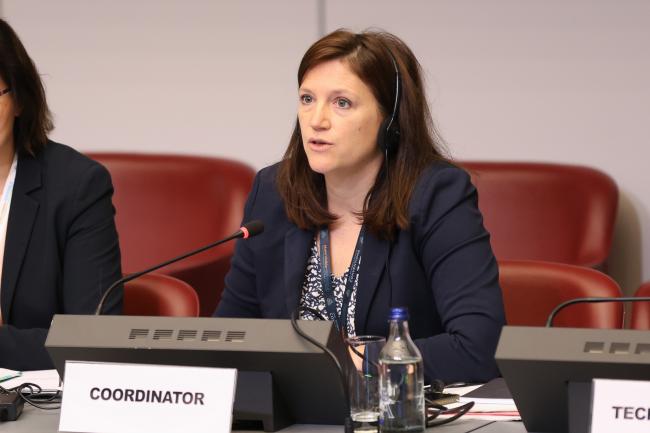 Marylene Beau, BRS Conventions Secretariat