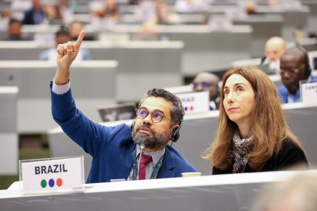 Francisco Nelson Linhares and Luciana Melchert, Brazil