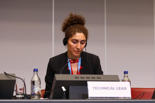 Mehrnoosh Azodi, BRS Conventions Secretariat