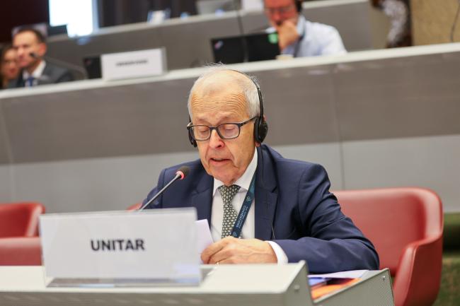 Georg Karlaganis, UN Institute for Training and Research (UNITAR)