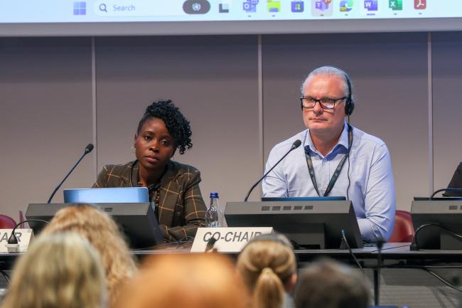 Contact Group on Basel Convention legal matters Co-Chairs Perine Nkosi Kasonde, Zambia and Jason Dunn, Australia