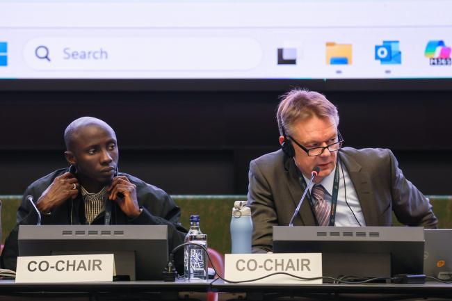 Contact Group on the Stockholm Convention listing of chemicals Co-Chairs Lamin Jaiteh, the Gambia, and Timo Seppälä, Finland