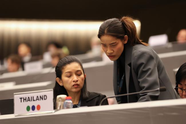 Plenary