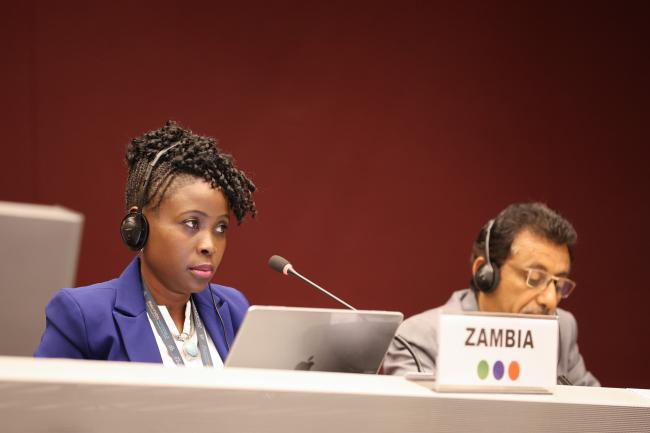 Perine Nkosi Kasonde, Zambia