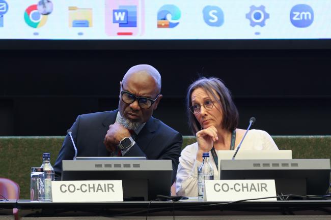 Contact Group on enhancing the effectiveness of the Rotterdam Convention Co-Chairs Linroy Christian, Antigua and Barbuda, and Karoliina Anttonen, Finland