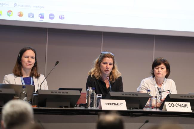 From L-R: Andrea Lechner, BRS Conventions Secretariat; and Contact Group on Basel Convention strategic matters Co-Chairs Ann De Jonghe, Belgium, and Lendita Dika, North Macedonia