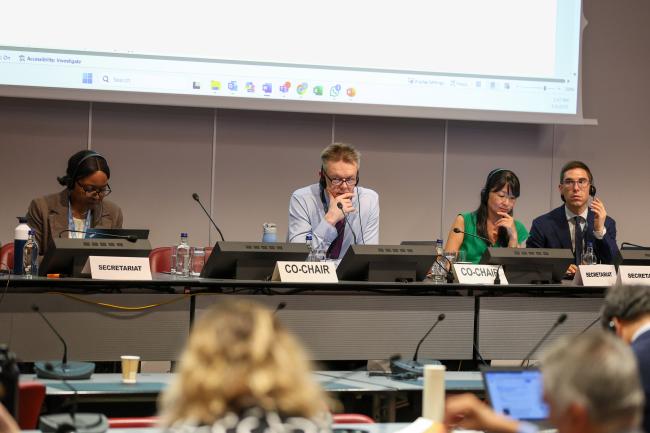 View of the dais during a Contact Group on the Stockholm Convention listing of chemicals