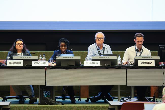 From L-R: Francesca Cenni, BRS Conventions Secretariat; Contact Group on Basel Convention legal matters Co-Chairs Perine Nkosi Kasonde, Zambia, and Jason Dunn, Australia; and Agustin Harte, BRS Conventions Secretariat