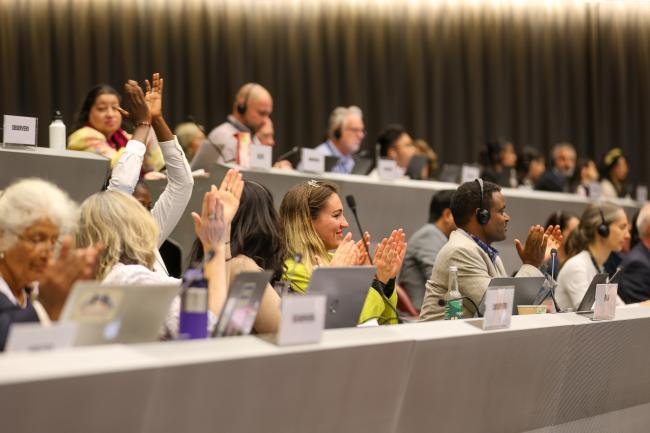 Participants celebrating listing of carbosulfan in Annex III of the Rotterdam Convention