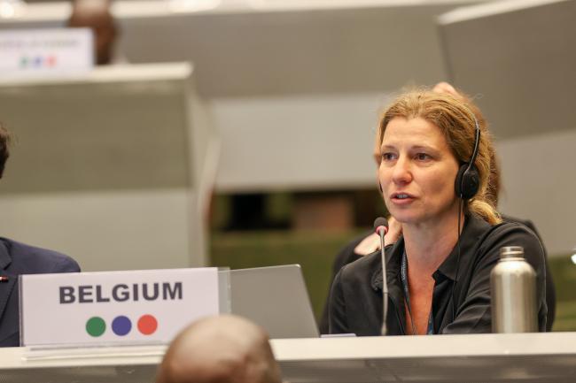 Ann De Jonghe, Belgium