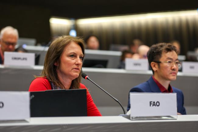Delphine Babin-Pelliard, UN Food and Agriculture Organization(FAO)
