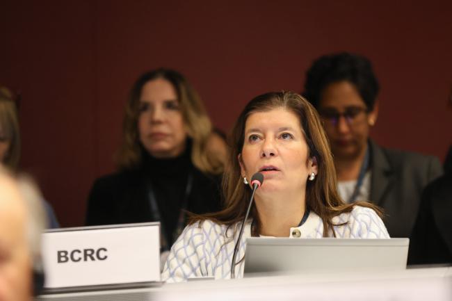 Gabriela Nair Medina Amarante, Basel Convention Regional Centers