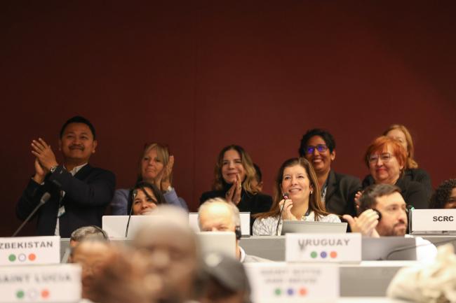 Participants applauding Suman Sharma, BRS Conventions Secretariat, for his service