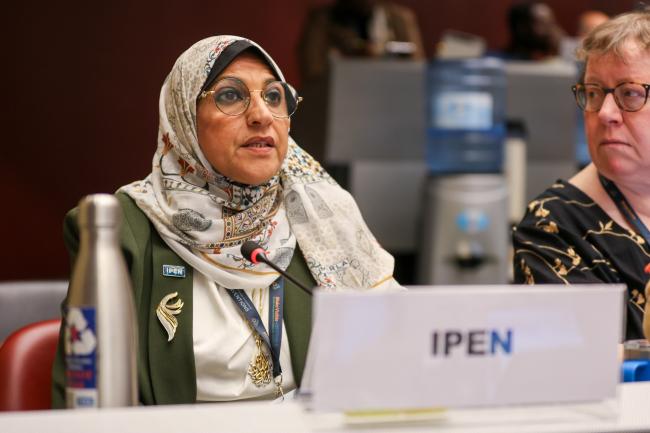 Elham Refaat Abdel Aziz, International Pollutants Elimination Network (IPEN)