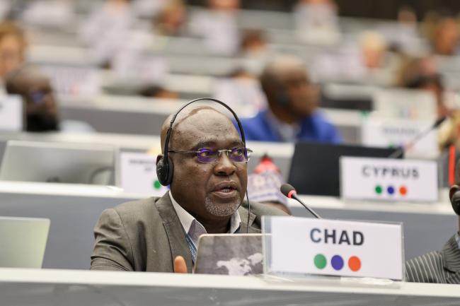 Moussa Abderaman Abdoulaye, Chad