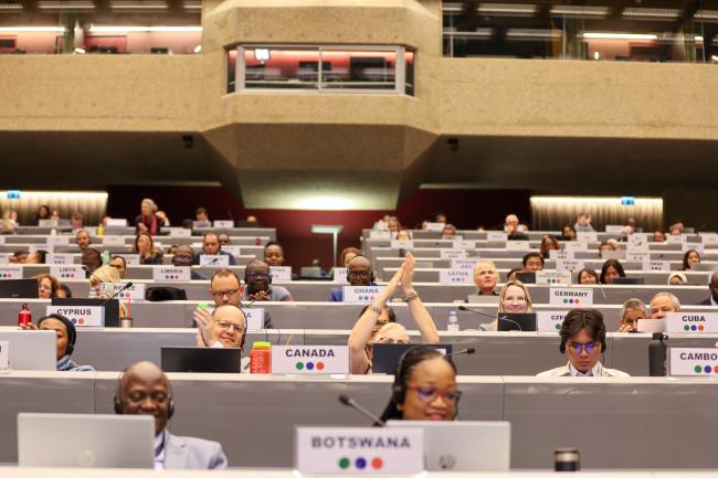 Participants celebrating the listing of fenthion to Annex III of the Rotterdam Convention