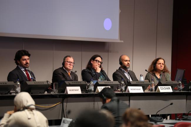 View of the dais during a Contact Group on Basel Convention technical guidelines