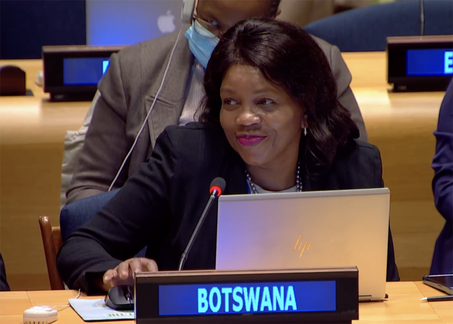 Botswana - UNFF20 - 5May2025