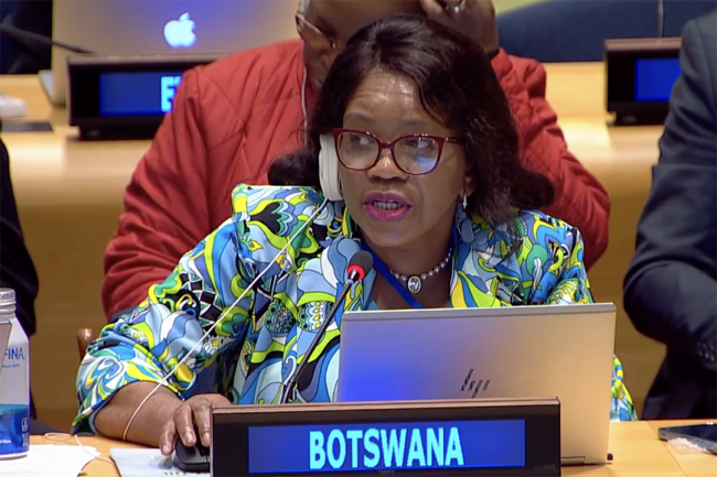 Botswana - UNFF20 - 7May2025