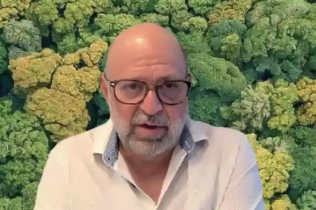 Carlos Manuel Rodriguez, GEF CEO and Chairperson- GFE CSO Consultations -29May2025