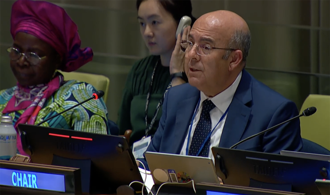 Co-Chair - UNFF20 - 5May2025