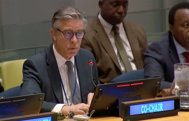 Co-Chair 2 - FFD4 - 1May2025