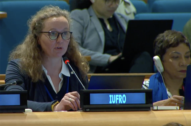 Daniela Kleinschmit, President, International Union of Forest Research Organizations - UNFF20 - 6May2025