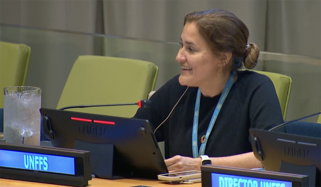 Daniela Sinobad, UNFF Secretariat - UNFF20 - 6May2025