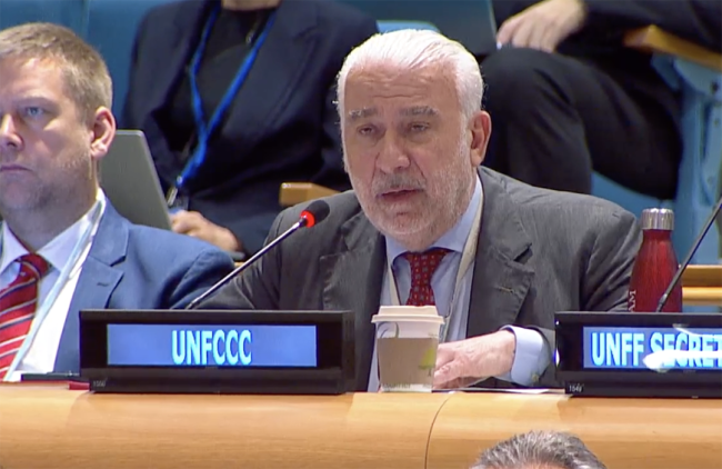 Daniele Violetti,Senior Director of the Programmes Coordination, UN Framework Convention on Climate Change (UNFCCC) Secretariat - UNFF20 - 6May2025