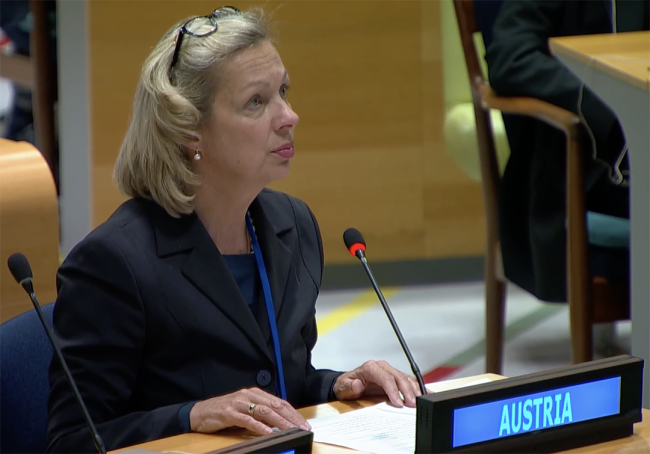 Elfriede Anna Moser, Forestry and Regions of the Federal Ministry of Agriculture and Forestry, Climate and Environmental Protection, Regions and Water Management, Austria - UNFF20 - 5May2025