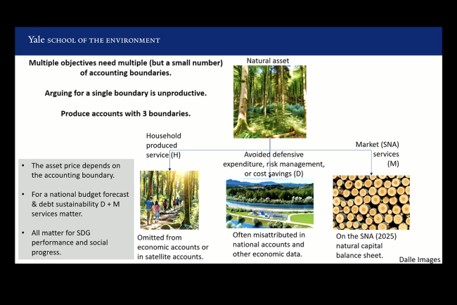 Eli Fenichel, Professor, School of Environment, Yale University - UNFF20 - 6May2025