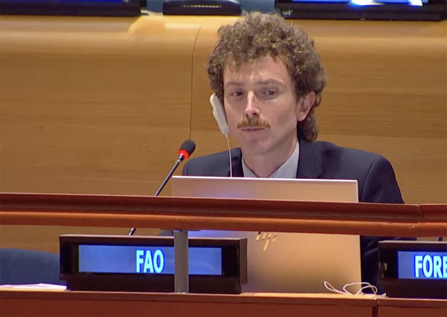 FAO - UNFF20 - 6May2025