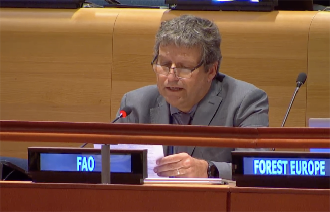 FAO - UNFF20 - 7May2025